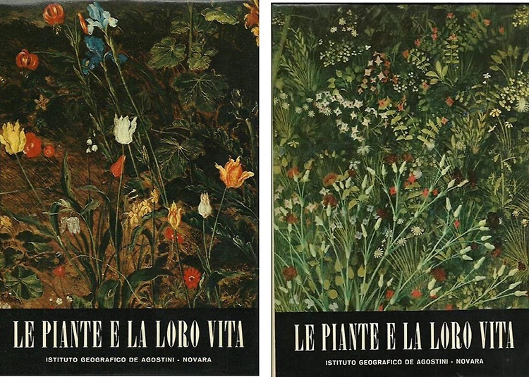 Le piante e la loro vita.