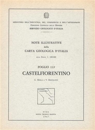 Castelfiorentino. foglio 113.