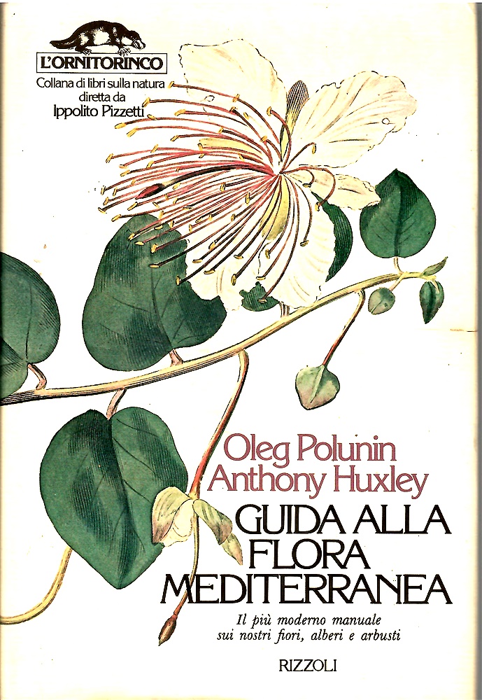 Guida alla flora mediterranea. Il più moderno manuale sui nostri fiori, alberi e