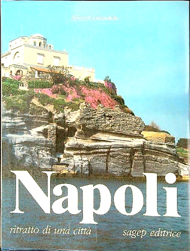 Napoli ritratto di una città.