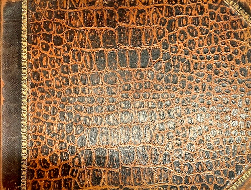 La storia di un naso. Novella in ottave.