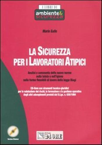 9788832461411-La sicurezza per i lavoratori atipici.