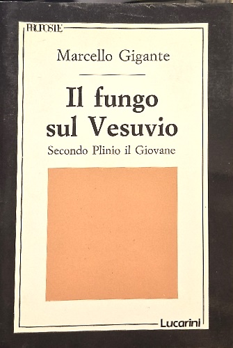 9788870333558-Il fungo sul Vesuvio secondo Plinio il Giovane.