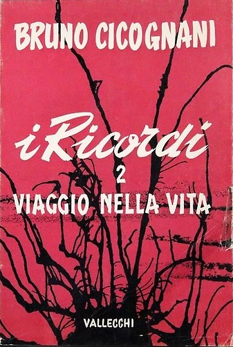 I Ricordi. vol.2: Viaggio nella vita.