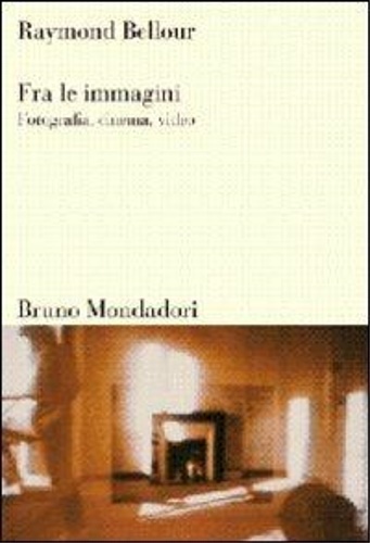 9788842420255-Fra le immagini. Fotografia, cinema, video.