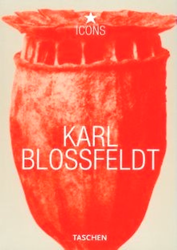 9783822813287-Karl Blossfeldt.