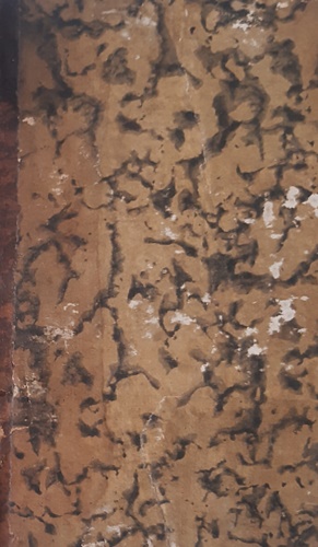 Le Rime di Francesco Petrarca. Tomo I,II.