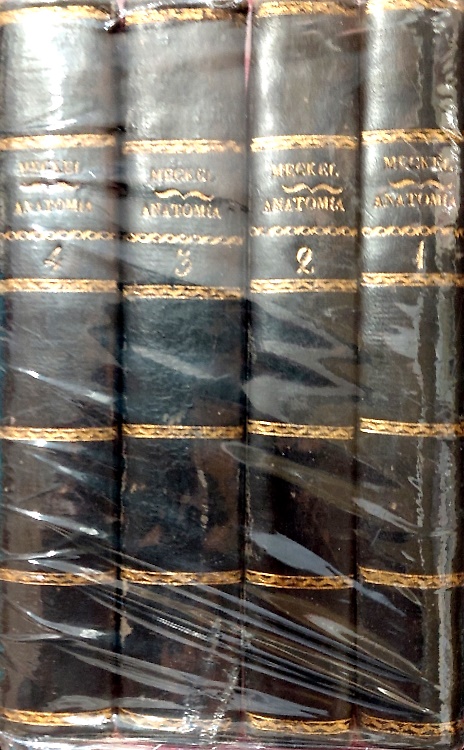 Manuale d'anatomia generale descrittiva e patologica.