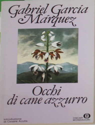 Occhi di cane azzurro.