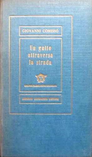 Un gatto attraversa la strada.