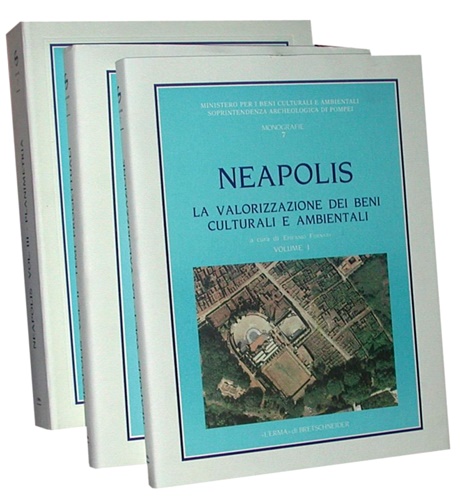 9788870628654-Neapolis. Progetto sistema per la valorizzazione delle risorse ambientali e arti