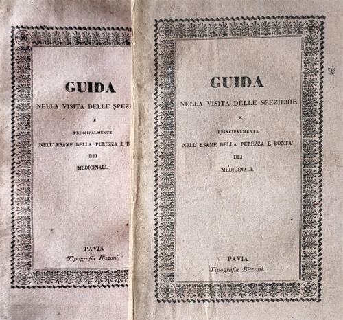 Guida nella visita delle spezierie e principalmente nell'esame della purezza e b