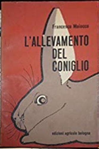 L'allevamento del Coniglio.