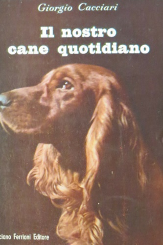 Il nostro cane quotidiano.