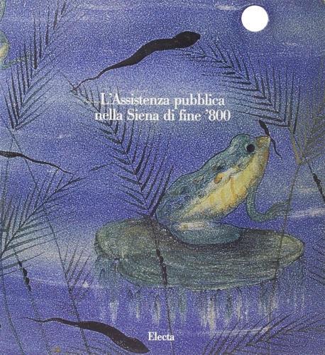 9788843536849-L'assistenza pubblica nella Siena di fine '800.
