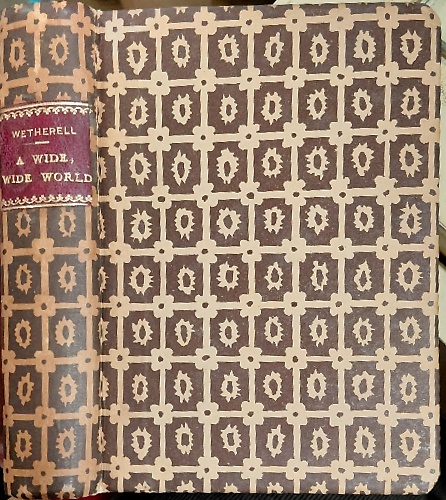 The wide, wide, world.