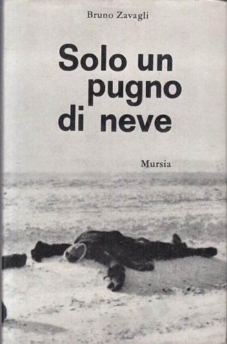 Solo un pugno di neve.