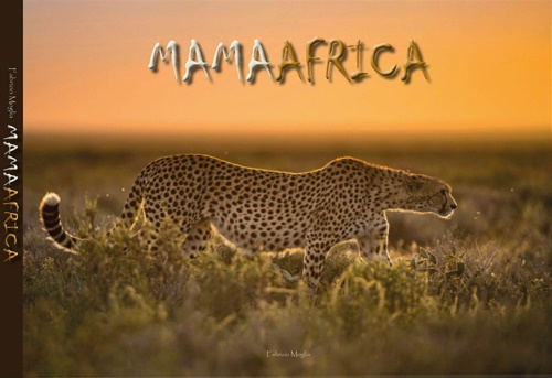 Mamafrica.