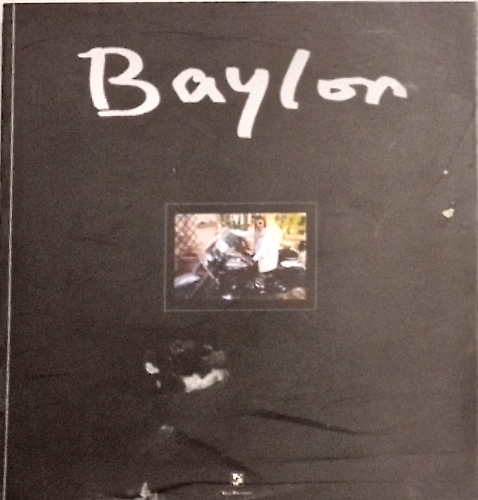 Diana Baylon pittura, scultura, grafica.