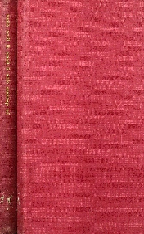 La speranza oltre il fiume. Romanzo.