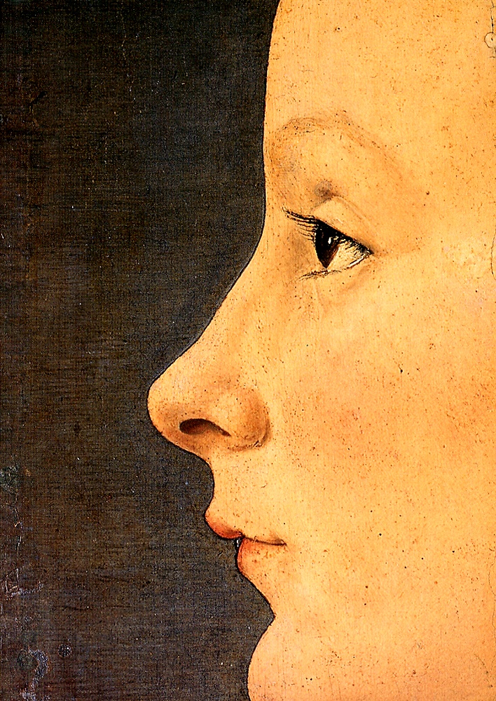 9788842208266-Il Museo Poldi Pezzoli a Milano. Guida per i visitatori.