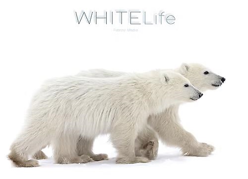 White life,