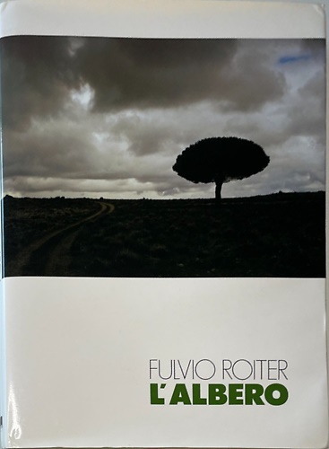 L'albero.