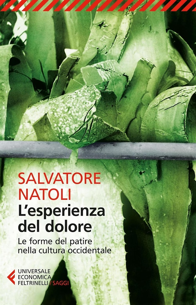 9788807887956-L'esperienza del dolore. Le forme del patire nella cultura occidentale.