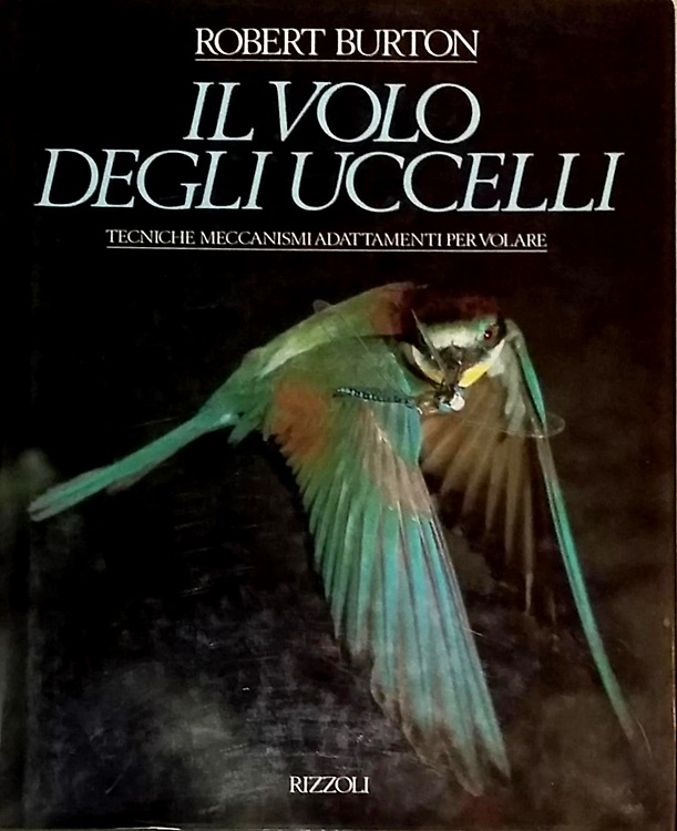 9788817241243-Il volo degli uccelli.