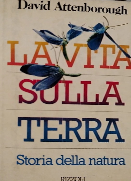 La vita sulla Terra.