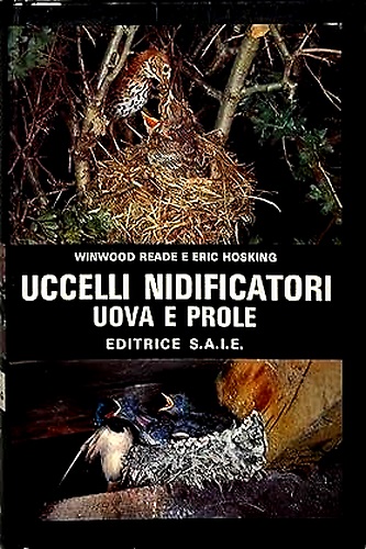 9788821502262-Uccelli nidificatori. Uova e prole.