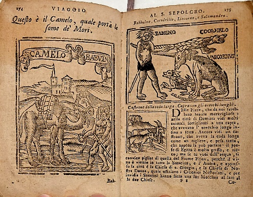 Viaggio da Venezia al S. Sepolcro e al monte Sinai. Col dissegno delle Città, Ca