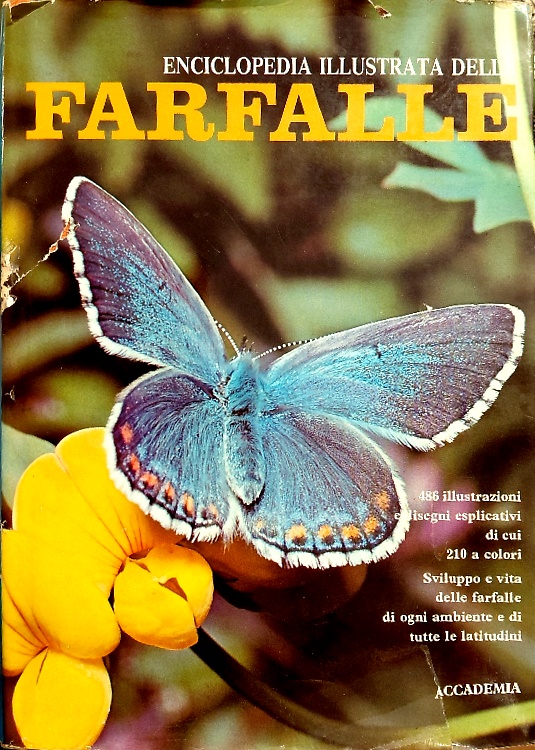 Enciclopedia illustrata delle farfalle.