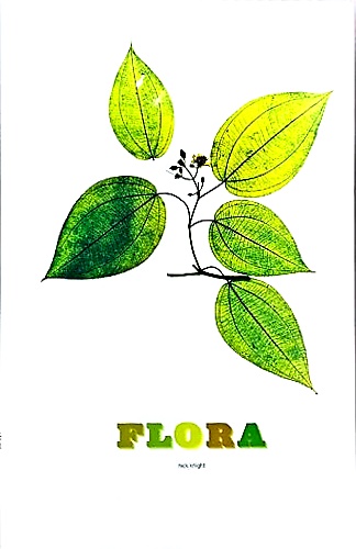 9783888148248-Flora.