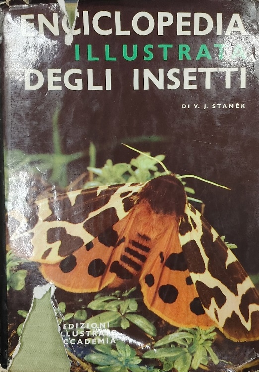 Enciclopedia illustrata degli insetti.