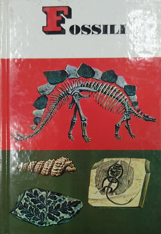 Fossili.