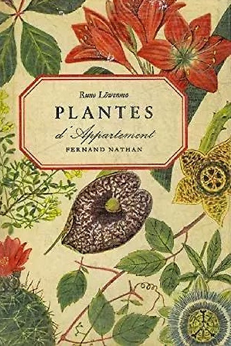 Plantes d'appartement.