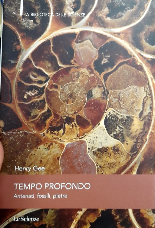 Tempo profondo. Antenati, fossili, pietre.