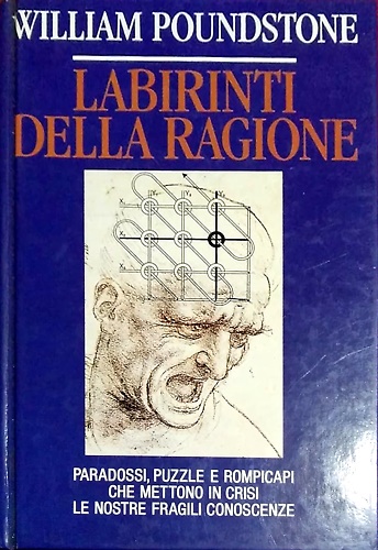 Labirinti della ragione. paradossi, puzzle e rompicapi che mettono in crisi le n