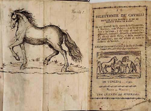 Il dilettante de' cavalli. Dato in luce sotto il nome di Saggio sopra le Razze,