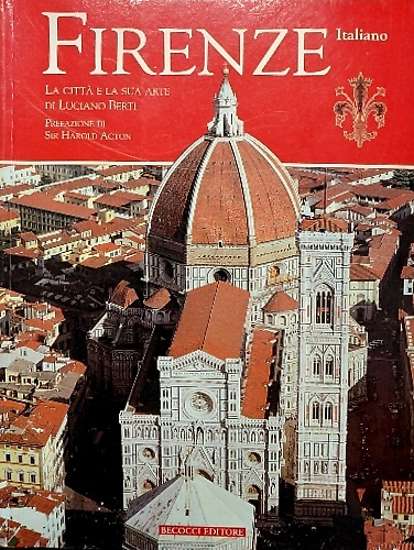 Firenze tutta la città e la sua arte.