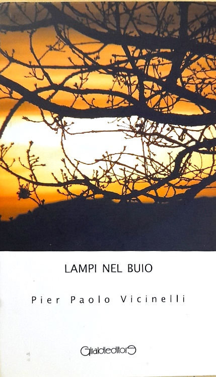 9788861555686-Lampi nel buio.