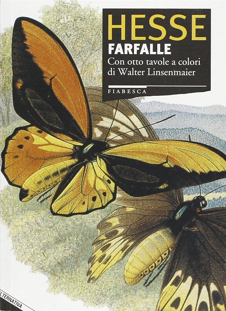 9788872260203-Farfalle.