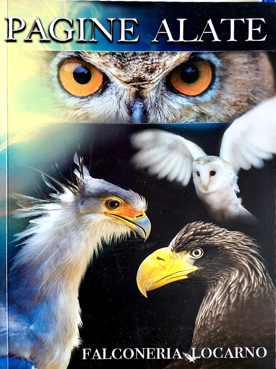 Pagine Alate. Falconeria Locarno.