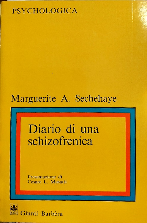 Diario di una schizofrenica.