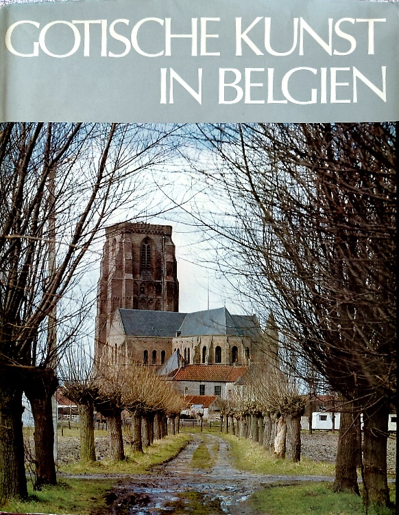 9783703102981-Gotische Kunst in Belgien.