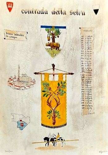 Palio di Siena. Contrada della selva.