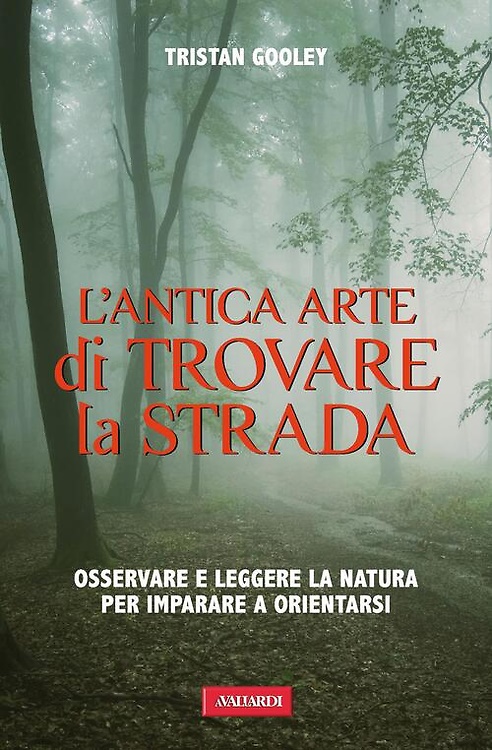 9788878878228-L'antica arte di trovare la strada.