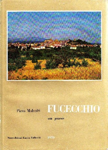 Fucecchio, un paese.