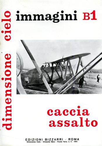 Caccia assalto immagini B1.  IMAM Ro51, Machi C.200, Fiat CR.42, Caproni Vizzola